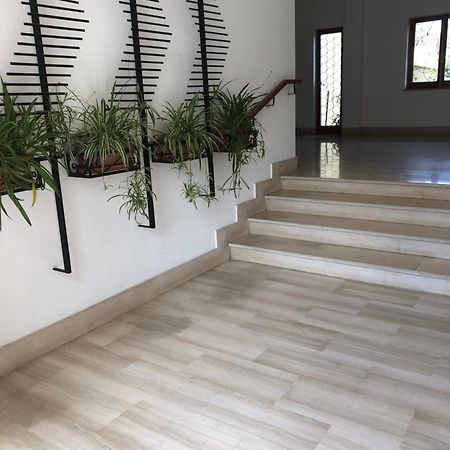Appartamento Le Zagare Sorrent Exterior foto